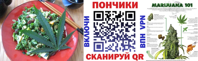 купить закладку  Шатура  Еда ТГК марихуана 