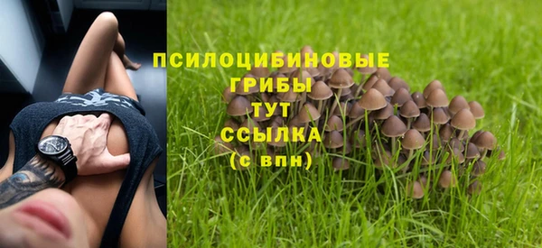 скорость Алексин