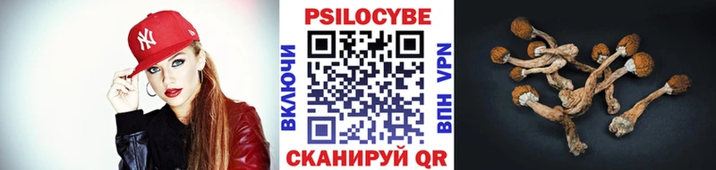 блэк спрут tor  Шатура  Псилоцибиновые грибы Psilocybine cubensis  продажа наркотиков 